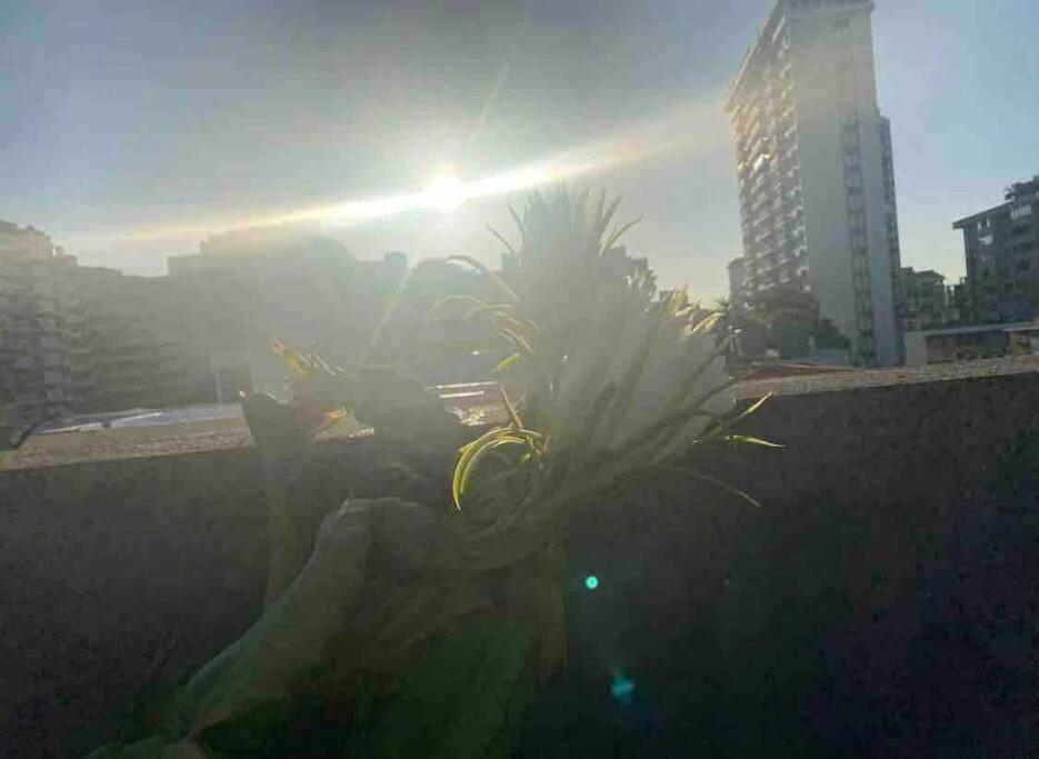 Fresh Tropical Colonial Style Walk-Up- Rooftop Terrace- Beach View ซานฮวน ภายนอก รูปภาพ